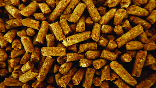 Alimentação animal