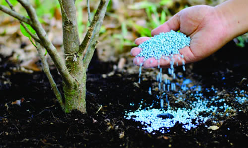 Fertilizantes